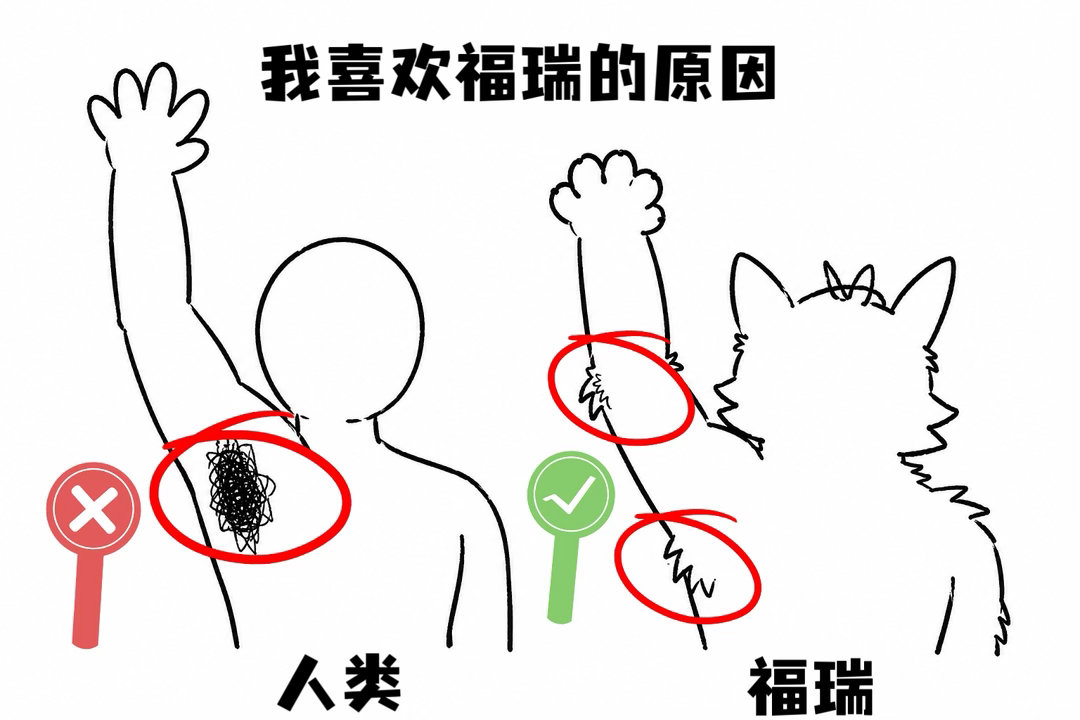 分享图片 
