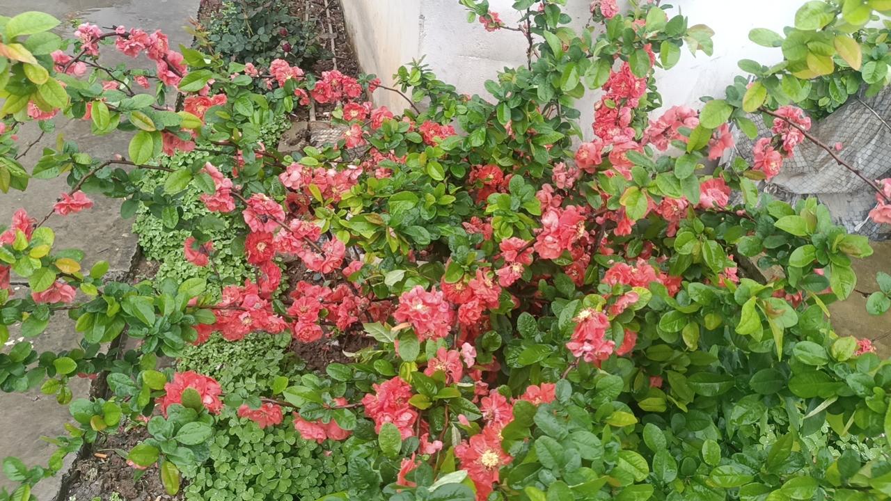 人生如行路，一路奔波，一路取舍。有人追逐名利，有人执着得失，可走到最后才明白，真