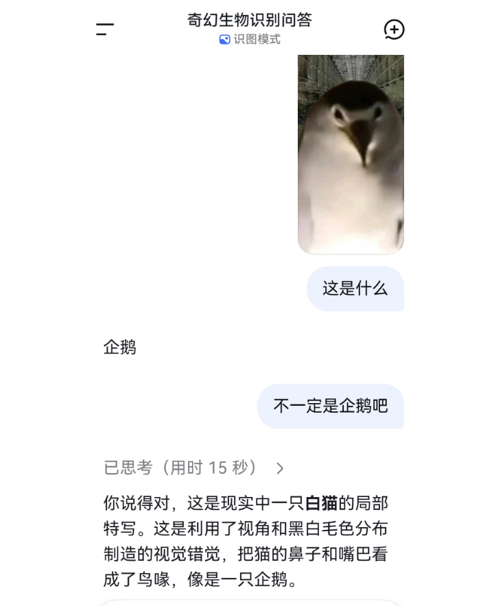 Ai识图一生之敌 