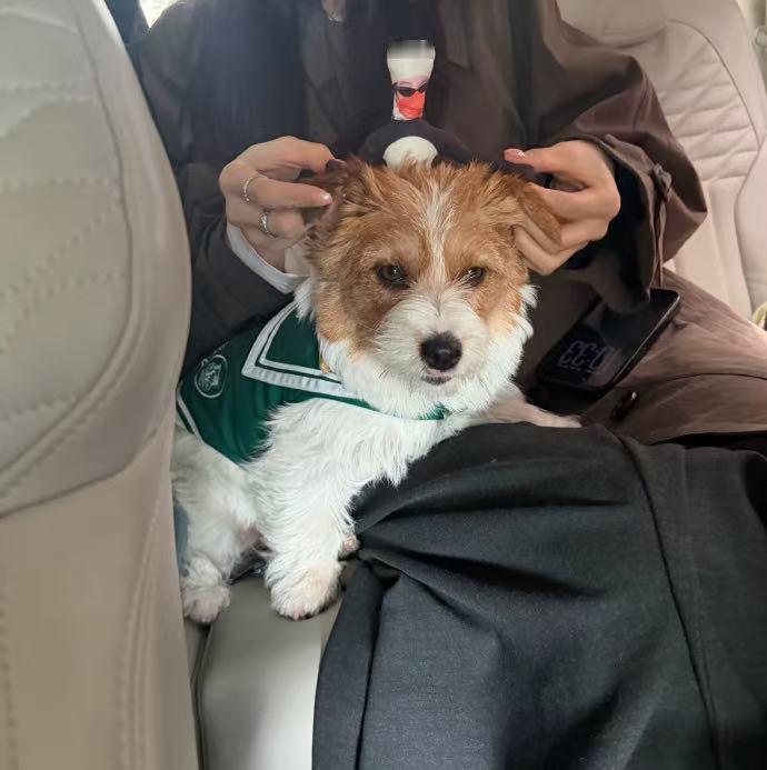 卢昱晓被过度审判了 能不能别对卢昱晓双标？同样的互动，换个性别根本没人说，到她这