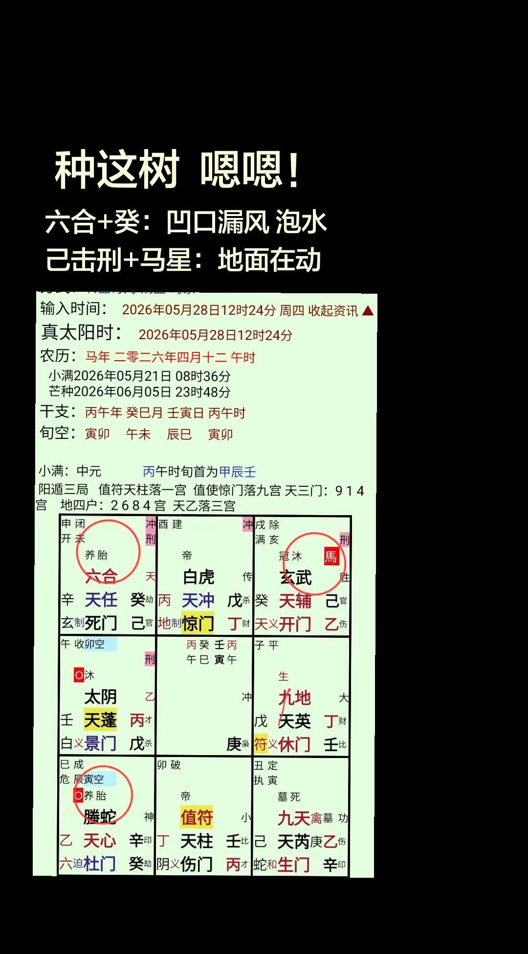 山上种树。
