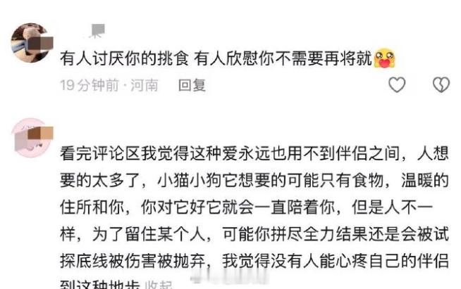 大家都好爱自己的小猫也好会爱人😭😭 