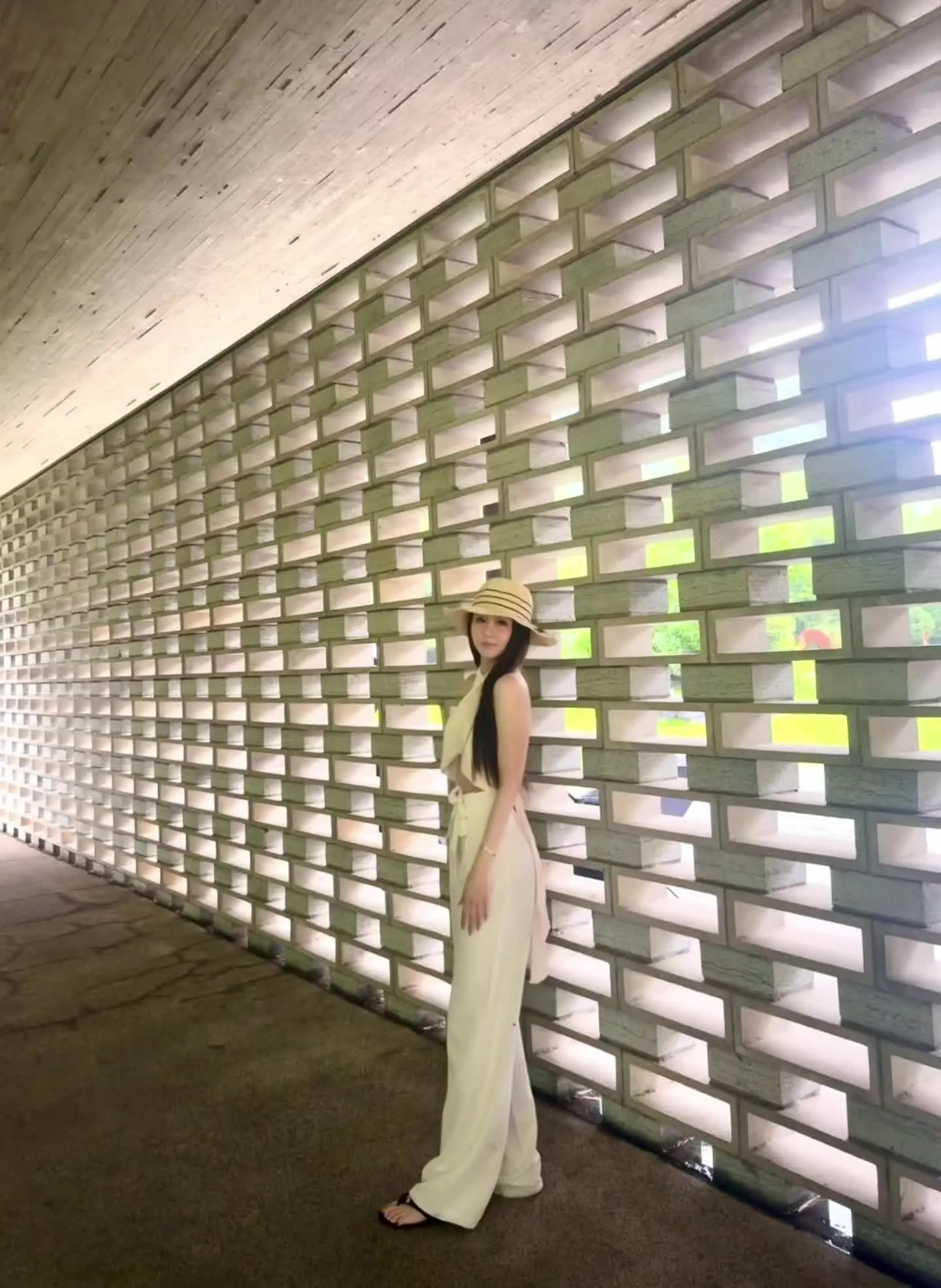 允许自己像蒲公英 落在哪里都是风景