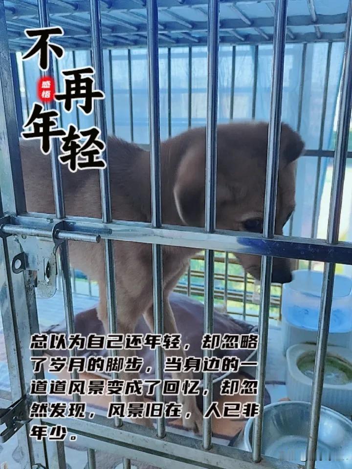 记录我的2026晨急的不得了