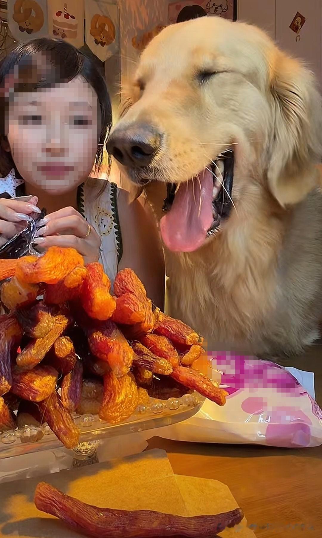 某网红女主播和自家可爱的毛孩子一起直播带货，这画面真有喜感，以为是卖宠物食品的，