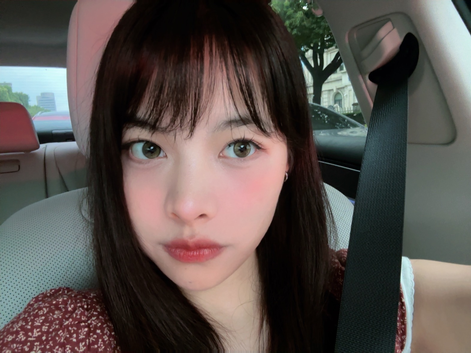 肿肿星人[熊猫] ​​​