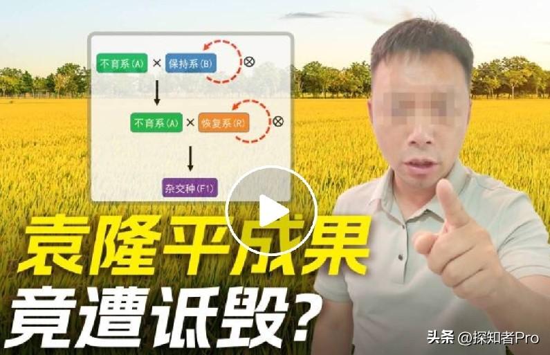 袁隆平院士，竟遭200万粉的所谓“农业网红”造谣、诋毁：“吃杂交水稻绝育”！
