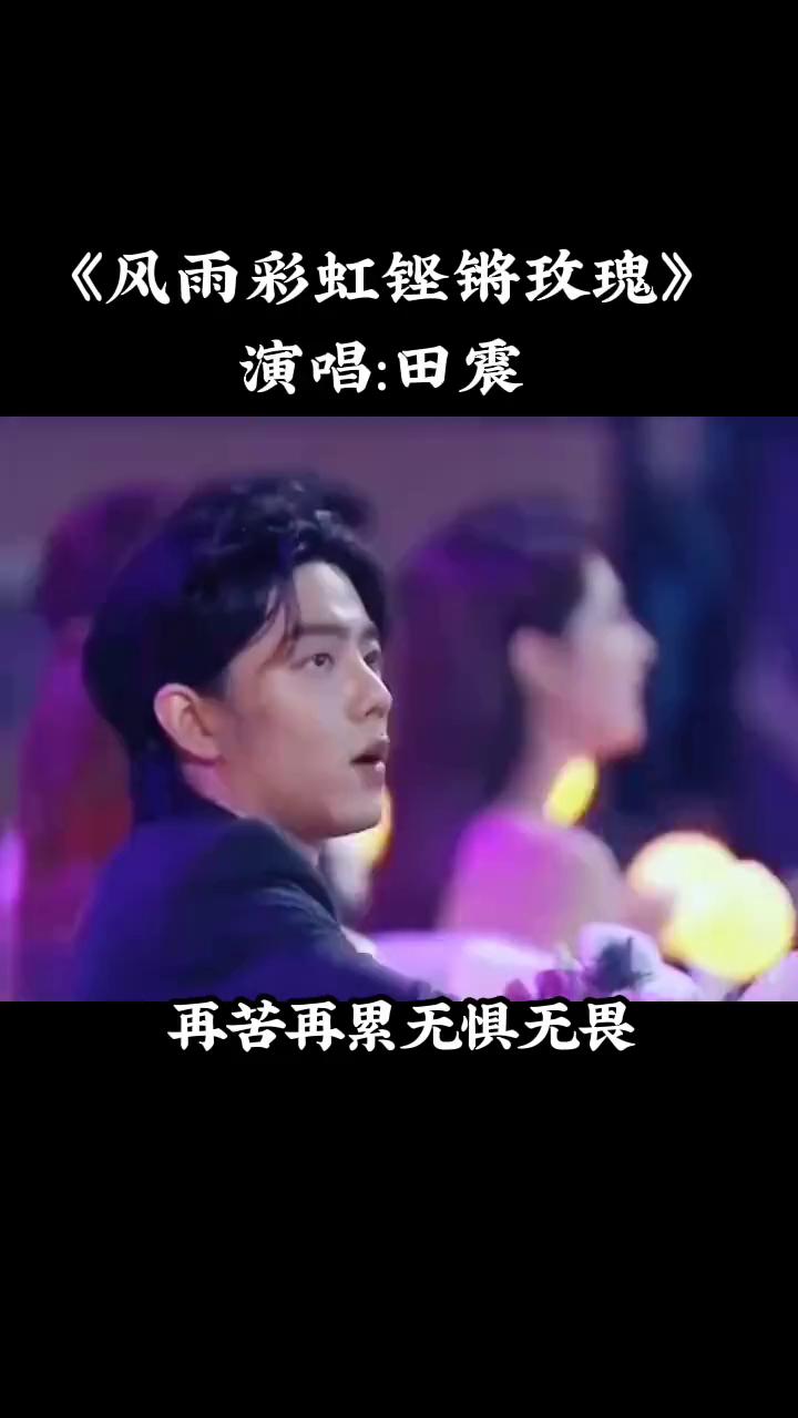 《风雨彩虹铿锵玫瑰》演唱：田震。
一切美好只是昨日沉醉，淡淡苦涩才是今天滋味。想