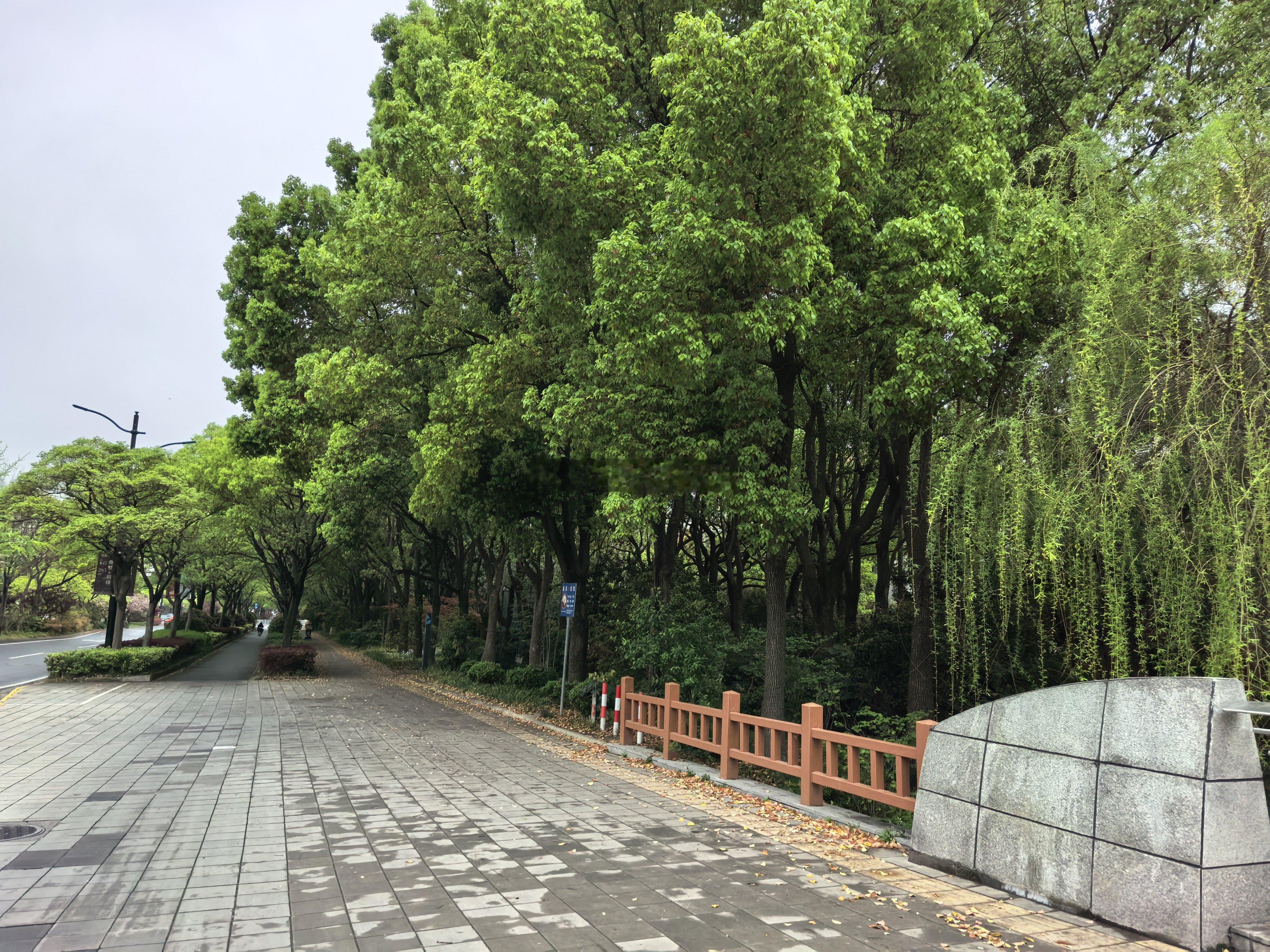 习惯了午睡后下午两点半上班的节奏，而上海这边下午一点半上班，生物钟还没倒过来，下