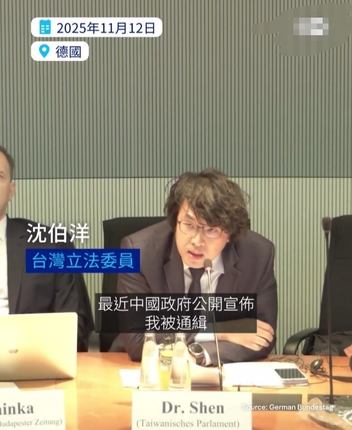 沈伯洋跑到德国去了，能通过国际刑警组织抓他吗？ 