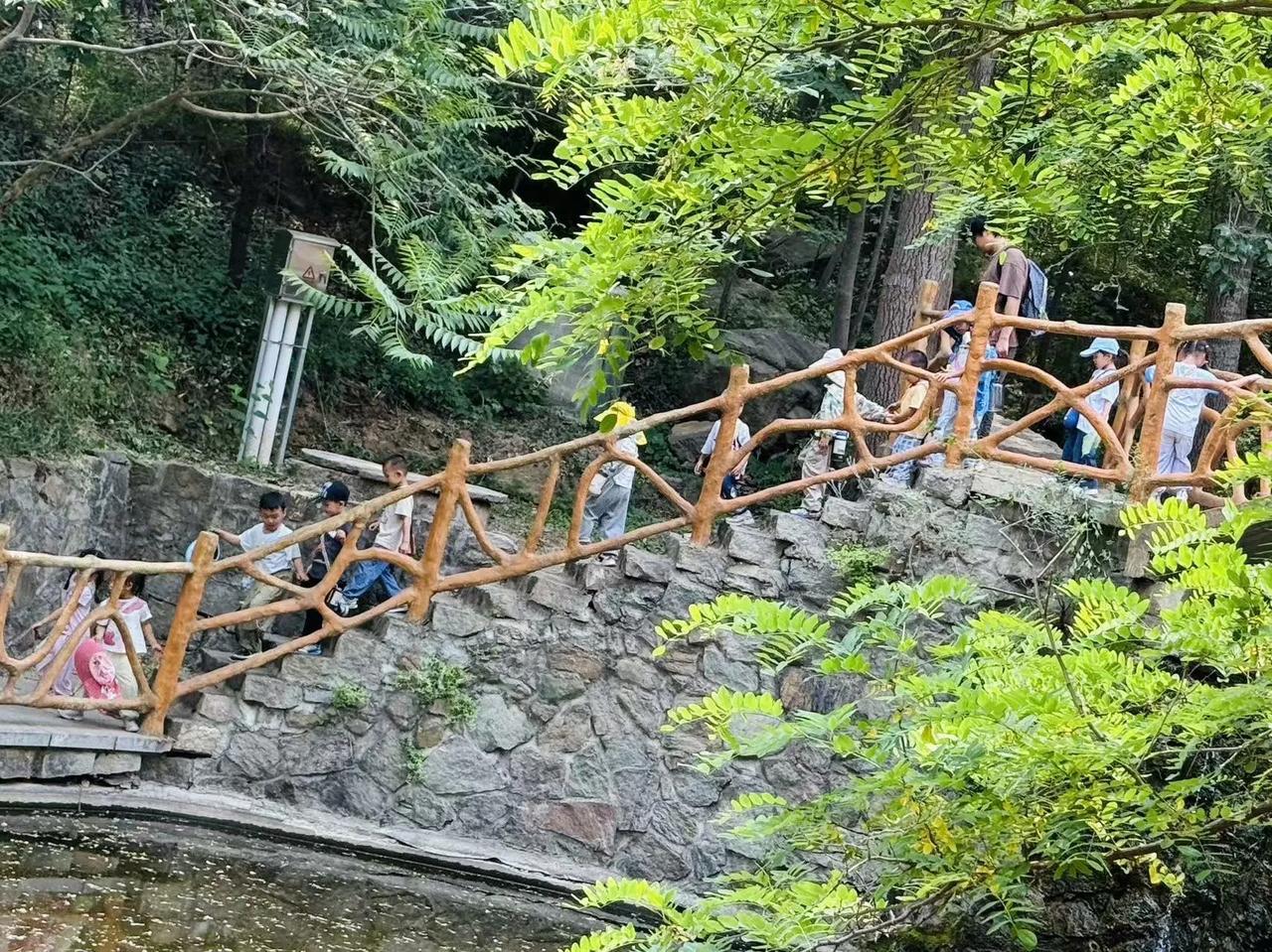 阳光暖暖地洒在封龙山的盘山路上，幼儿园的孩子们像一群欢快的小麻雀，叽叽喳喳地开启