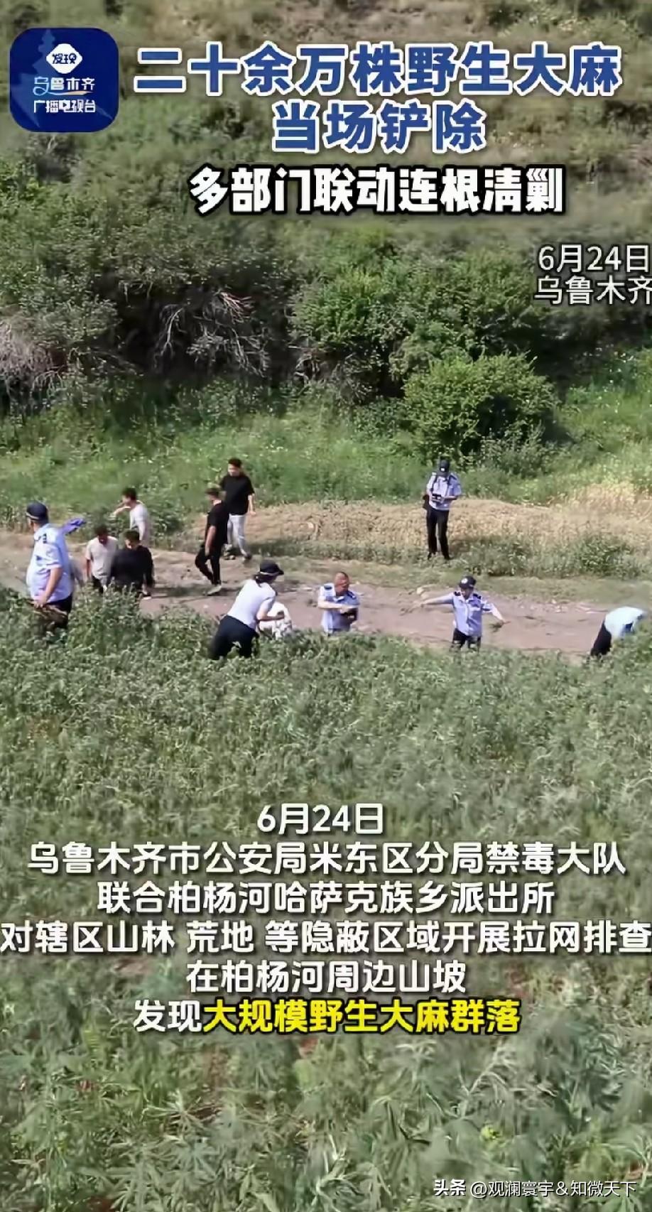 确定都是野生的？[what]