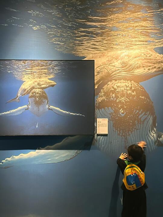 温州首展！五一假期遛娃好去处…