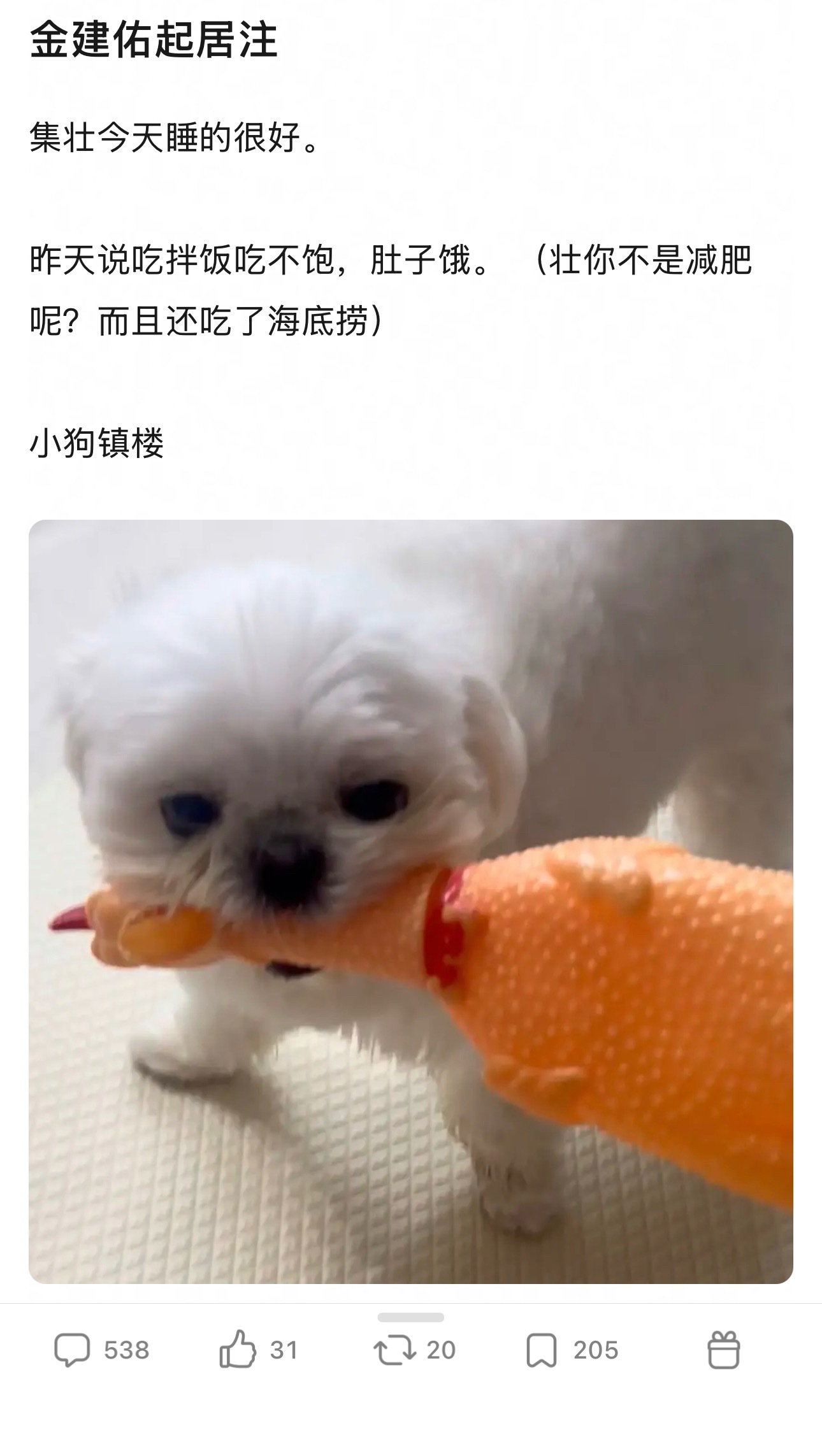 这层楼看得我好想定壮的🫧一想到集壮顶着182的身高90kg的体重 结果说着一堆