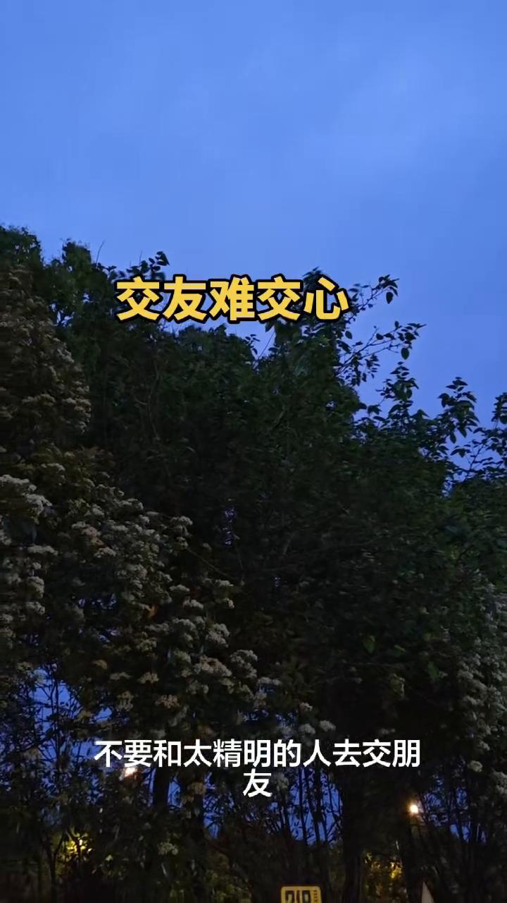 交友难交心。
不要和太精明的人去交朋友，你会发现那些特别能说会道、情商极高的人私