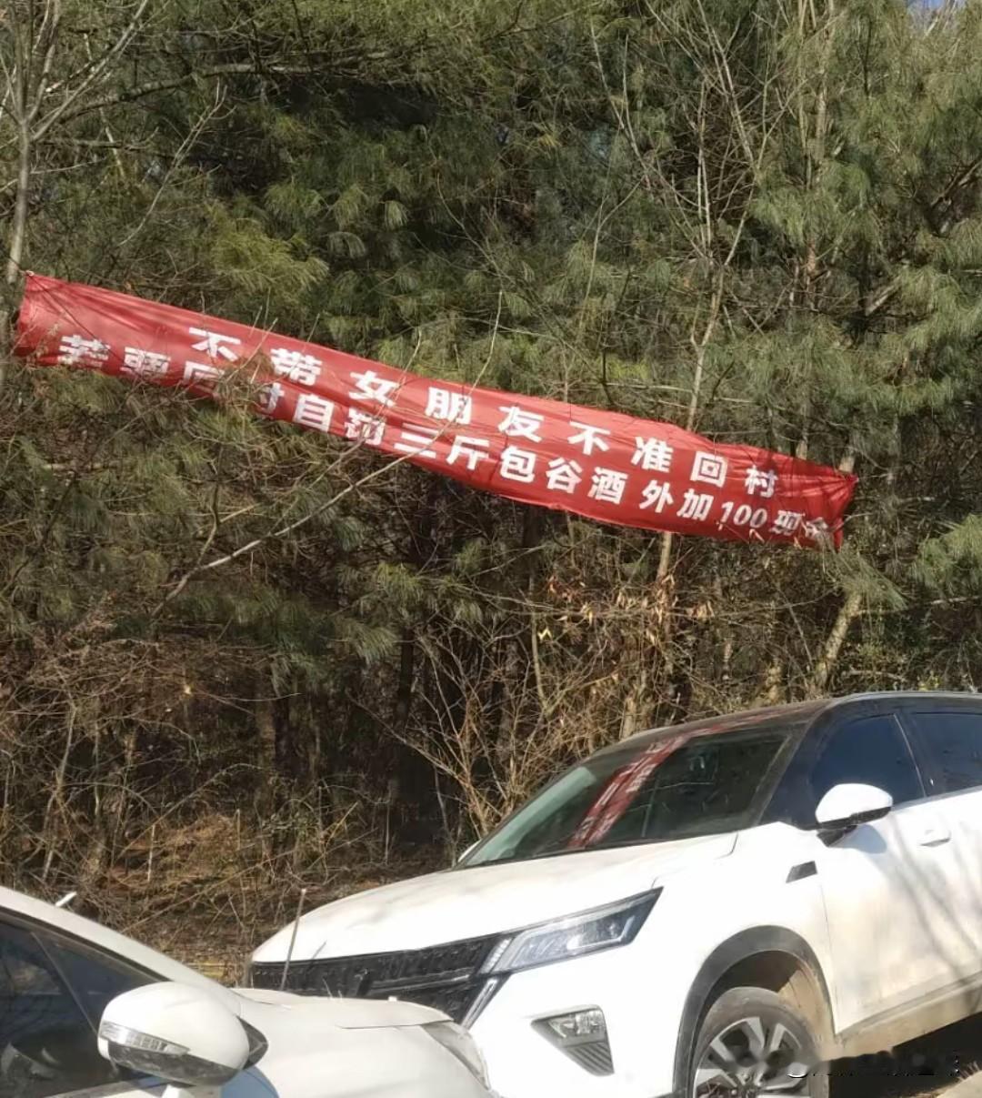 过年为了“逼婚”父母可谓绞尽脑汁
真是拼尽毕生所学
这不在网上刷到视频
一对父母