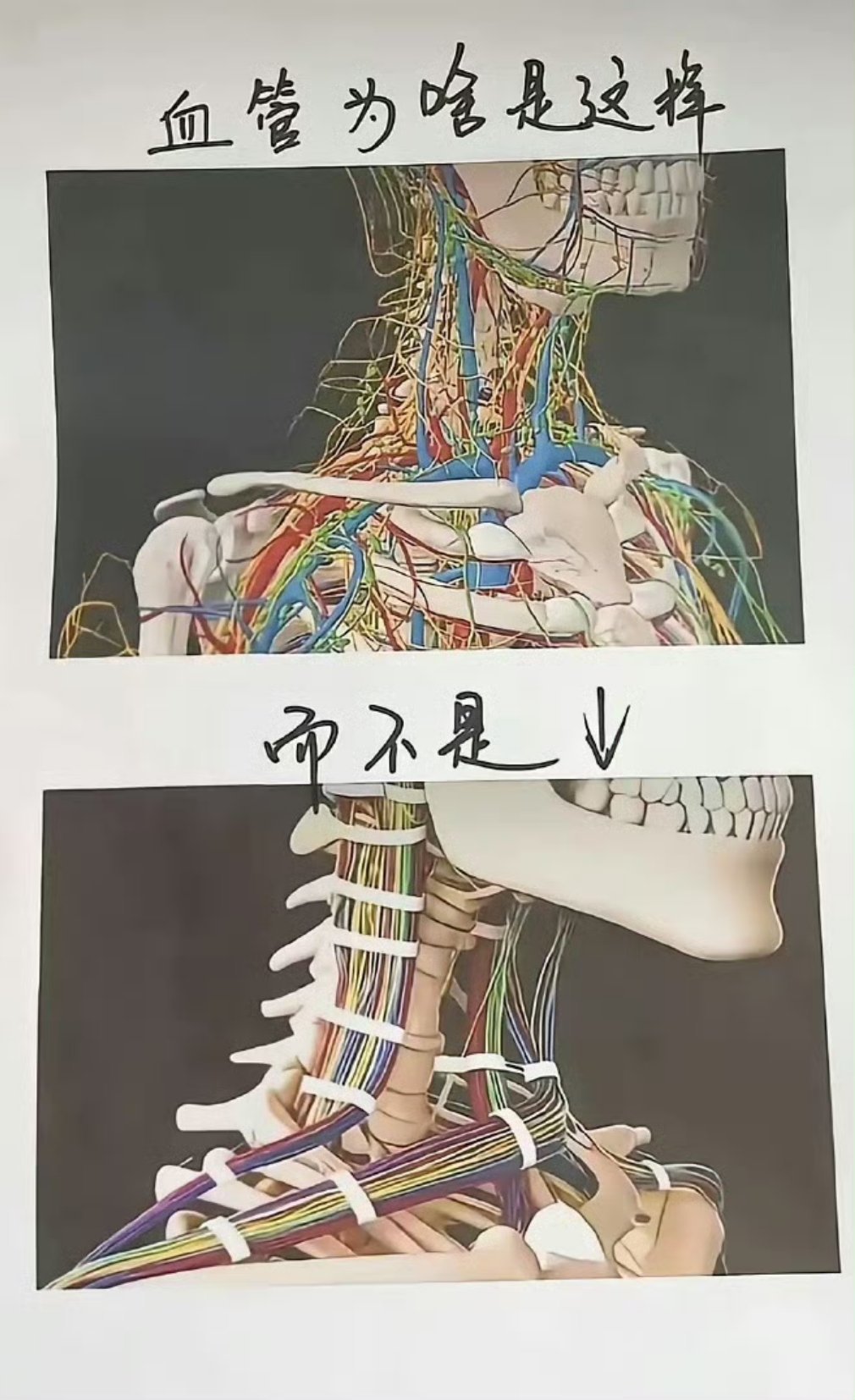 问问题的应该是一位电工 