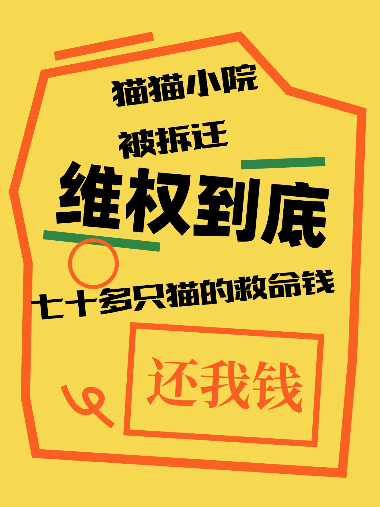 我是什么大冤种 承担了百分百的责任？