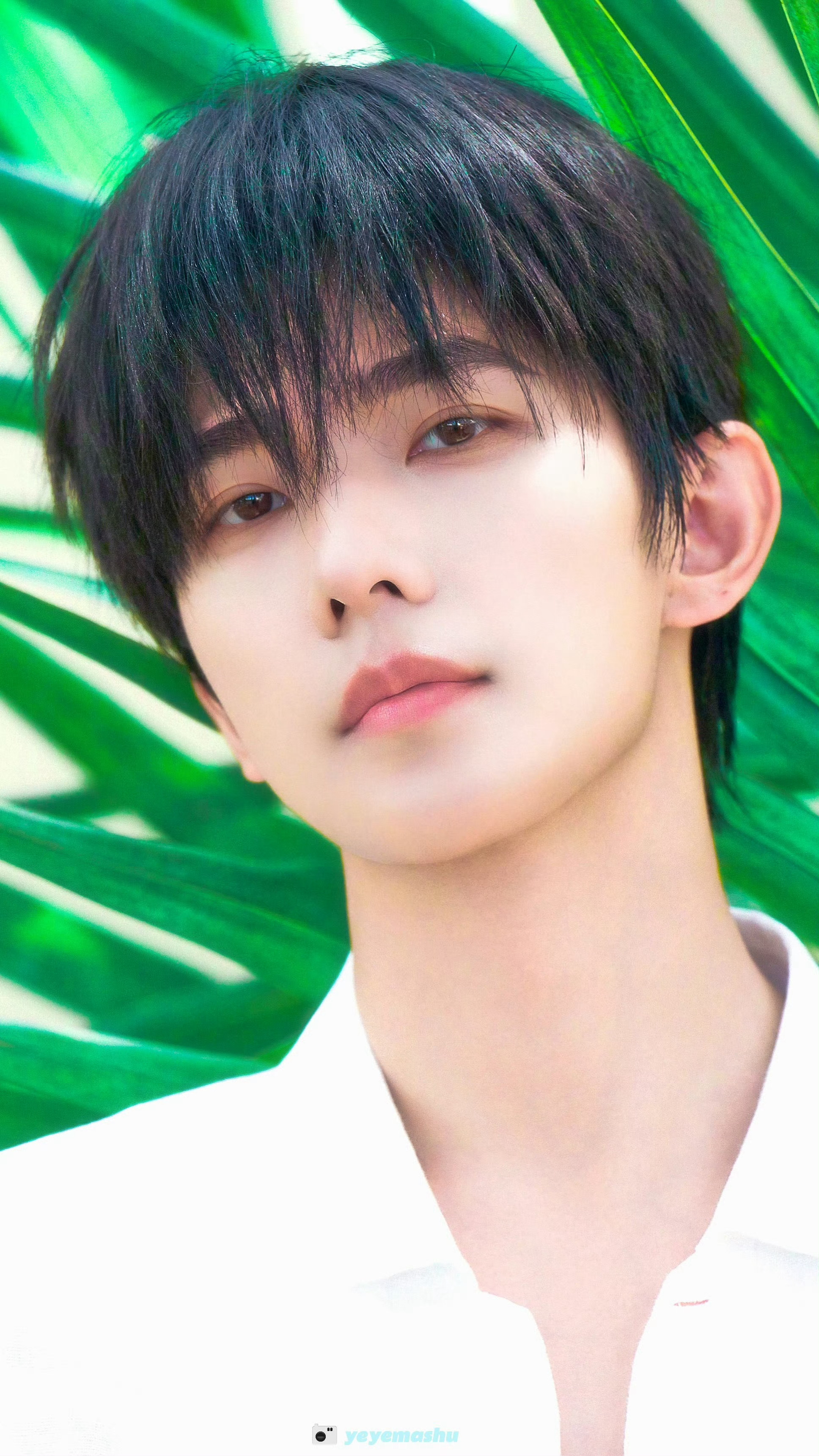 杨洋 你是我的白衣少年