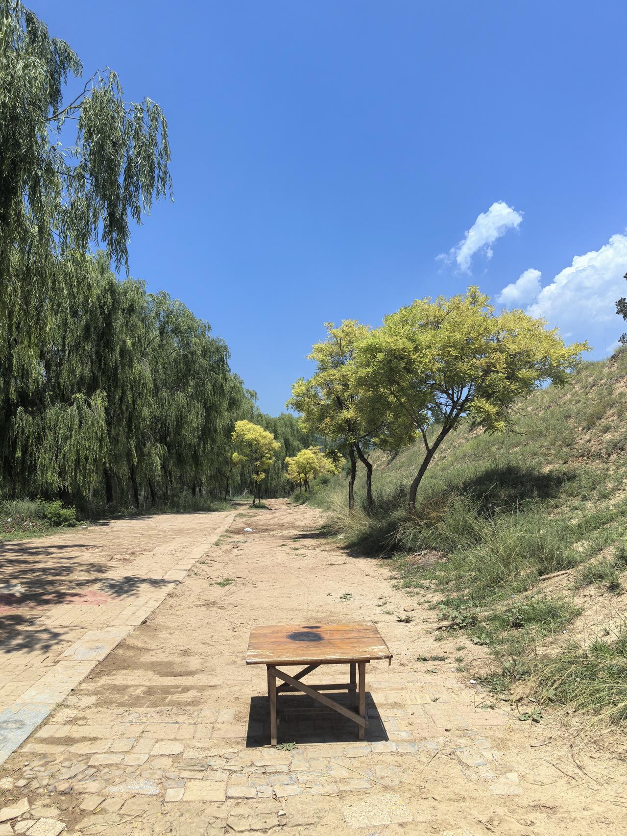 绿树荫中野餐桌，清风拂面意自闲。