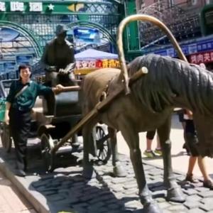 黑龙江畔的知青张大丰