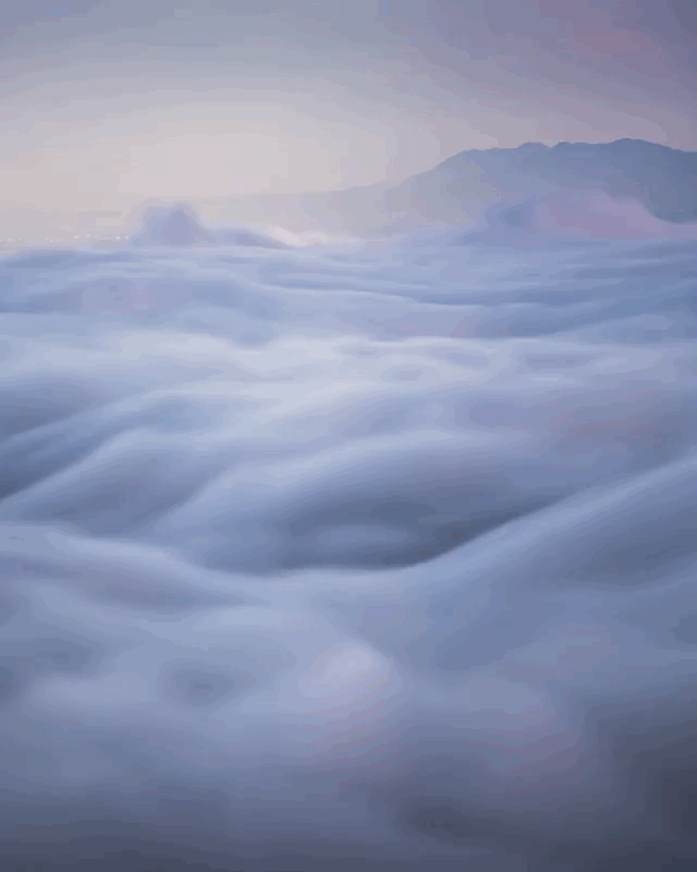 秒转，从此雾开云散  所想所求都会有好的结果！ ​​​