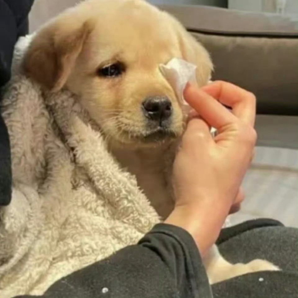 419还要录制啊刘涛还有时间吗快安排一个小时给刘涛直播，宣传无限超越班我也爱看的