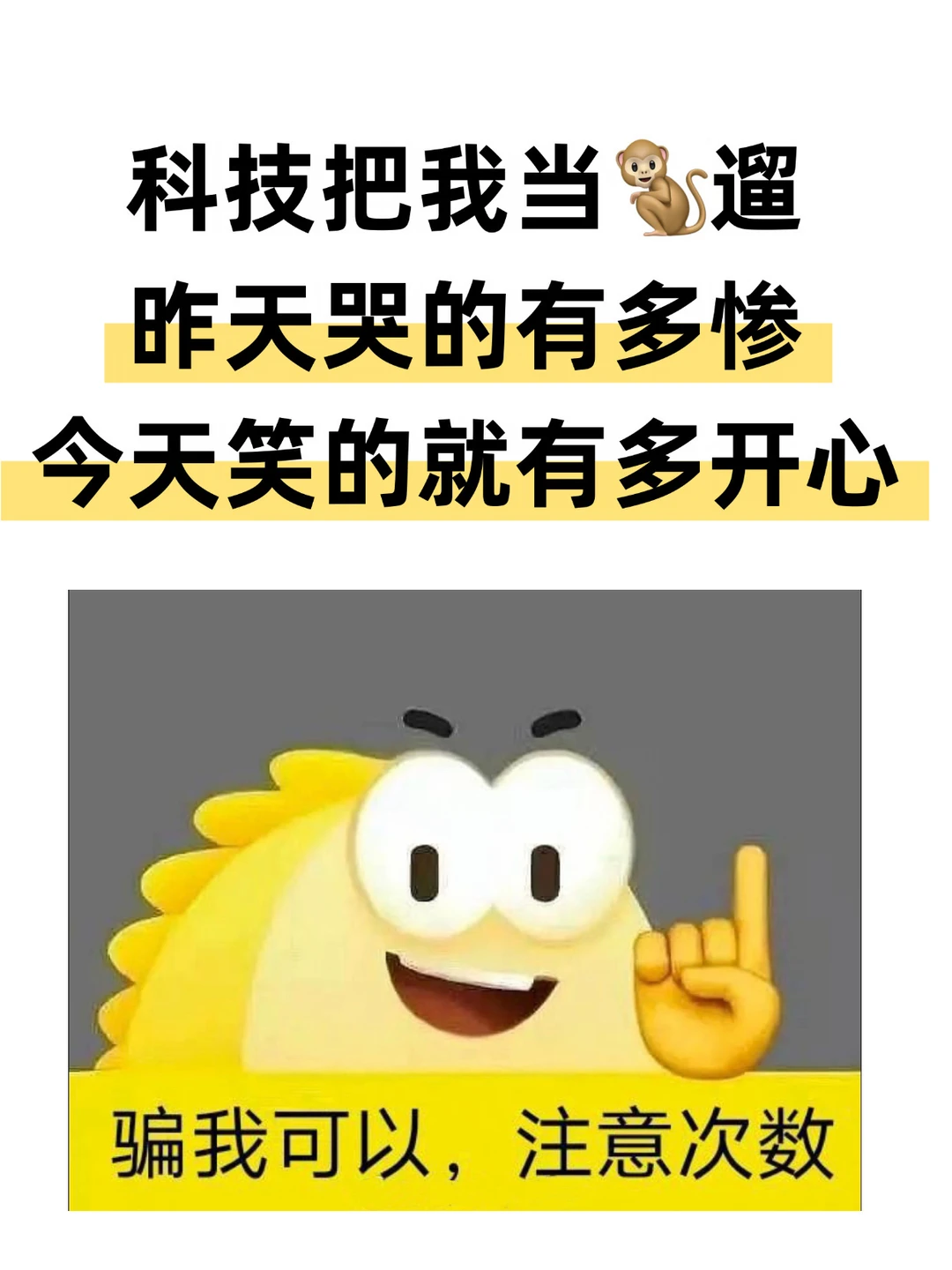 2026年是猴市