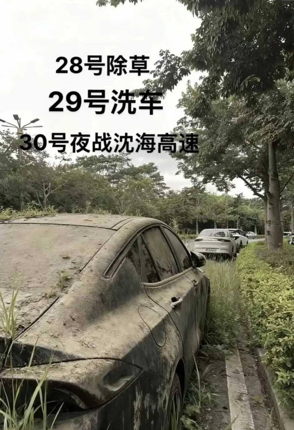 网友：一年两箱油，马上可以用了！这样的车，车主不到假期不现身啊。
