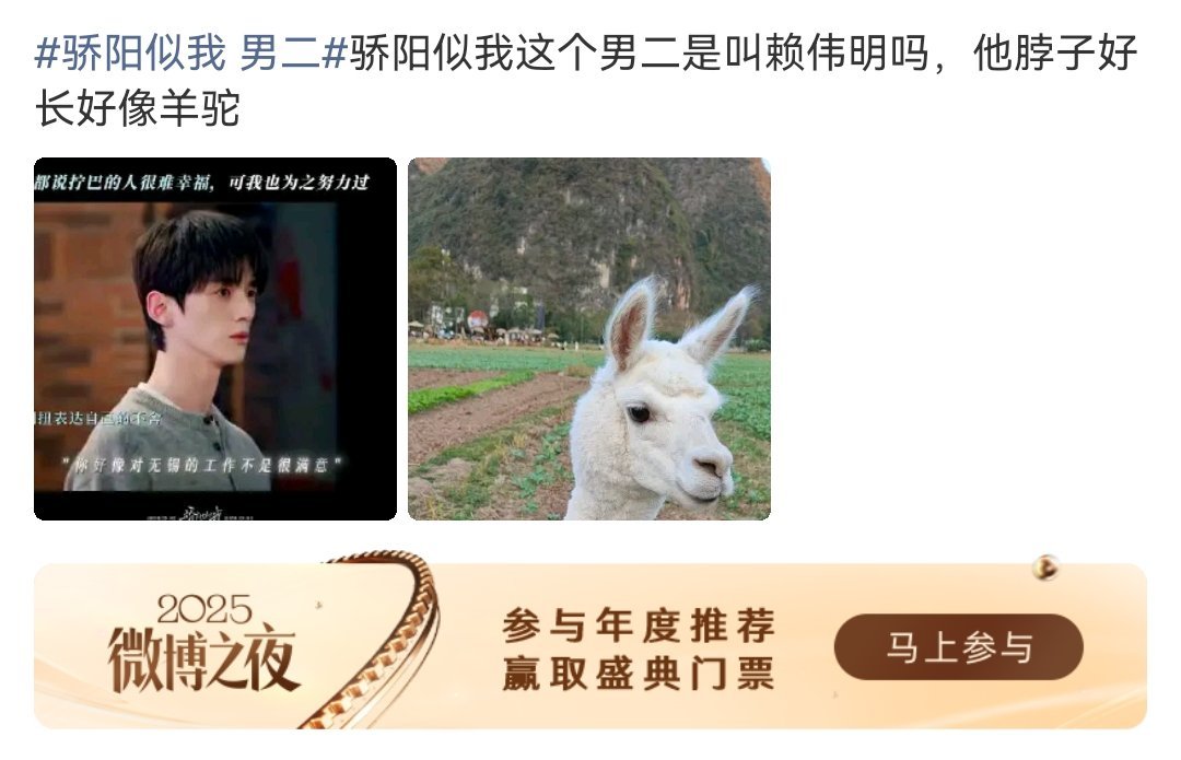 哈哈哈哈，羊驼确实情商低，一不小心就淬人一脸口水。 赖伟明 羊驼 骄阳似我 男二