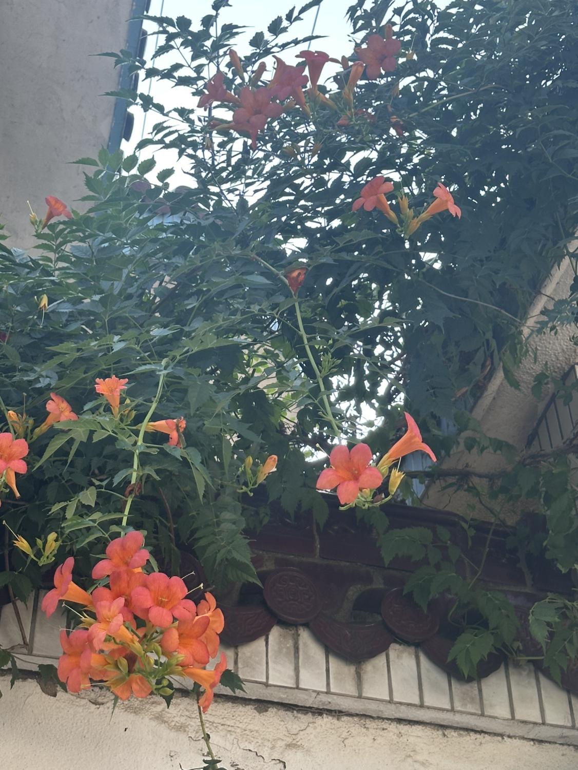 我的今日状态：😁轻松愉快
我这里的天气：☀️晴天