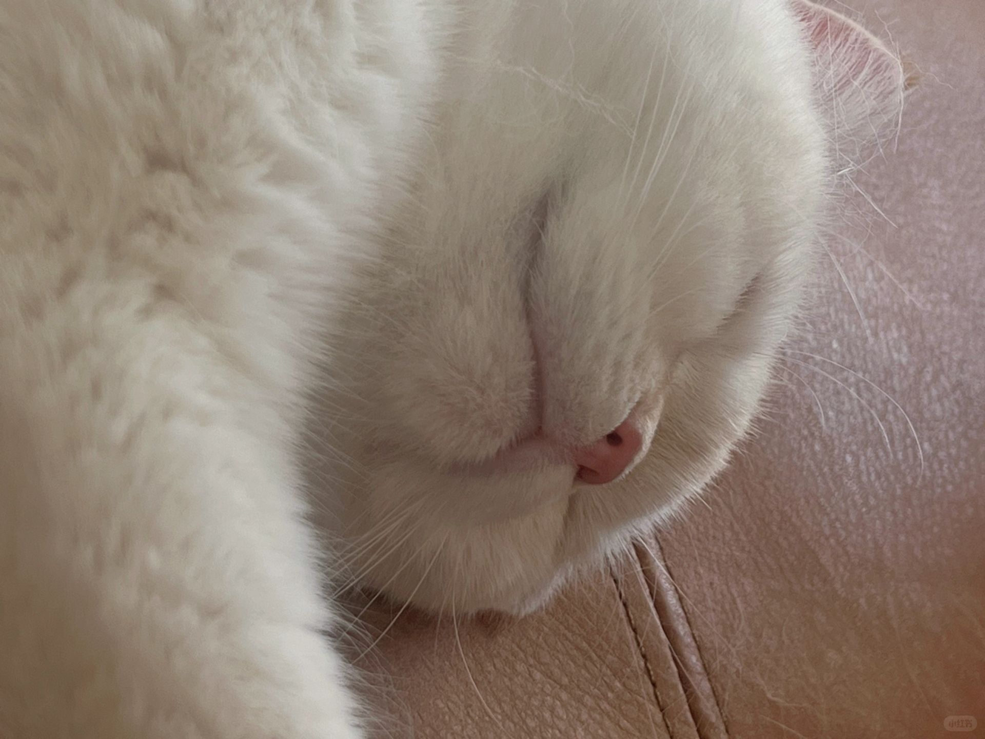 冬天早晨起不来