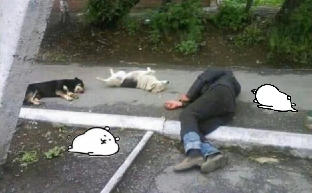 OK，突击检查！现在在听什么歌！[收到] ​​​