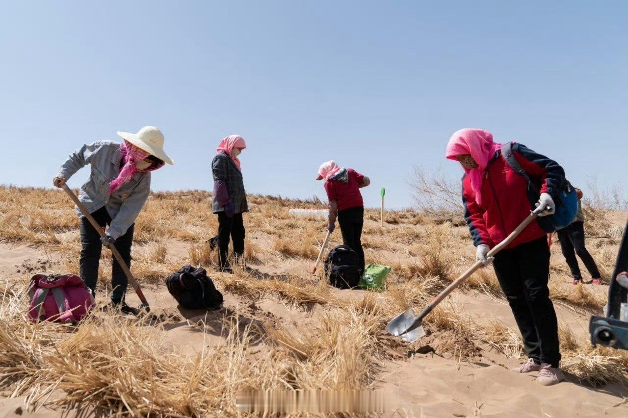 #法国人在中国寻找七年前种的树#真的是太不容易了呀，谢谢你们的付出，我们大家一起