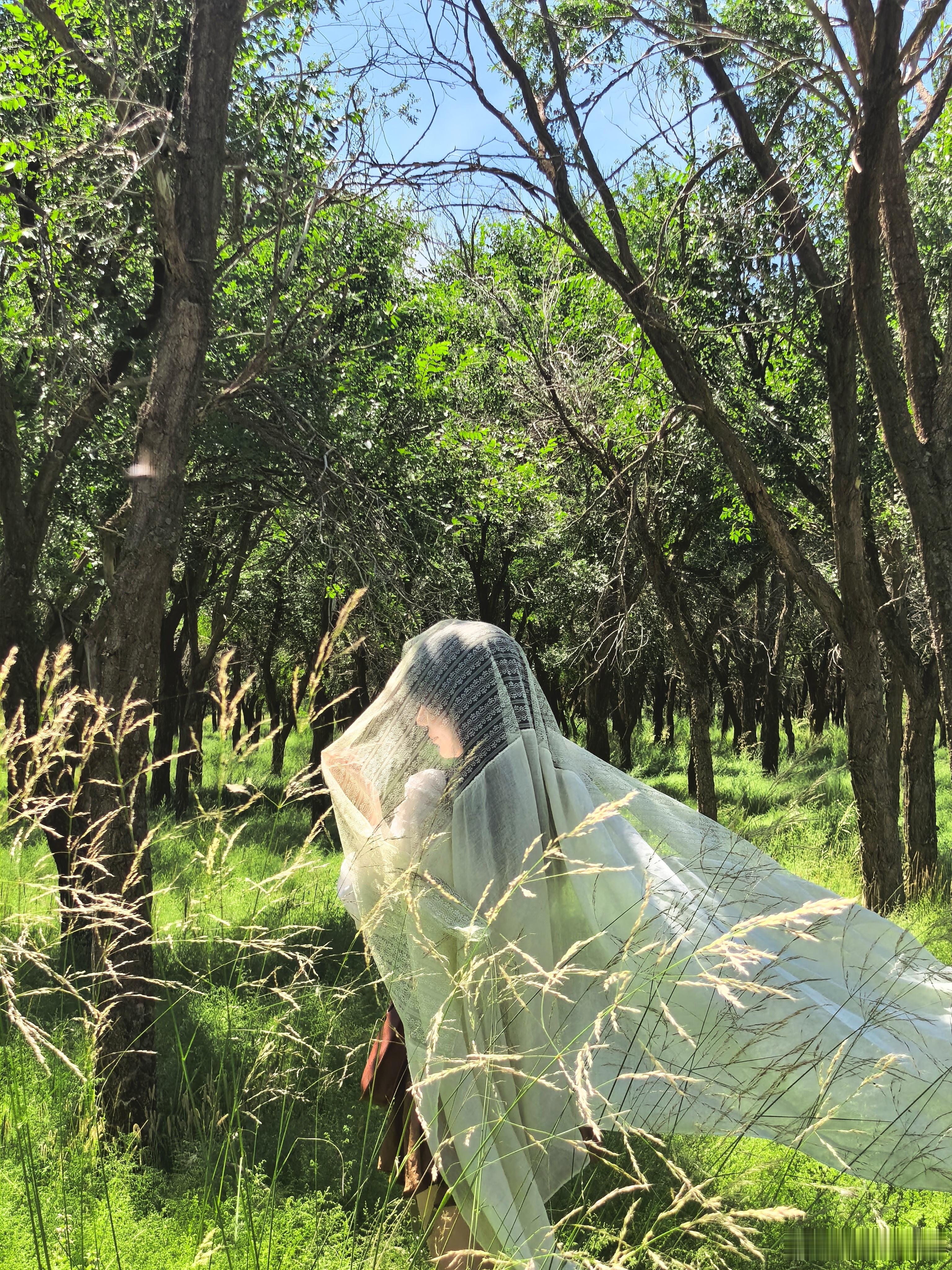 在格根塔拉大草原的一个小树林里拍照，拍照太好看了，披上纱巾像沙漠公主，太仙了！好