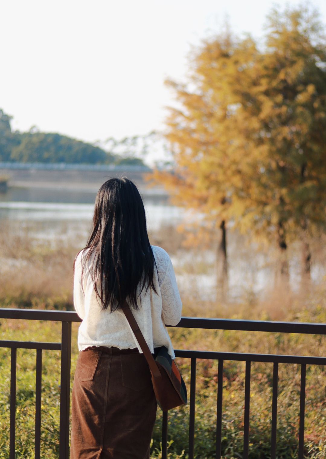 暖暖的秋日氛围🍁