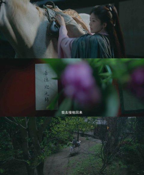 终于等到白鹿骑马正片了看见叶璃骑马奔向爱人的画面，眼眶就热了。从隐忍到勇敢，从退