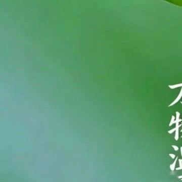 人生没有过不去的坎，没有爬不上的坡，与其幻想可怕的后果，不如试着将担忧的事情说出