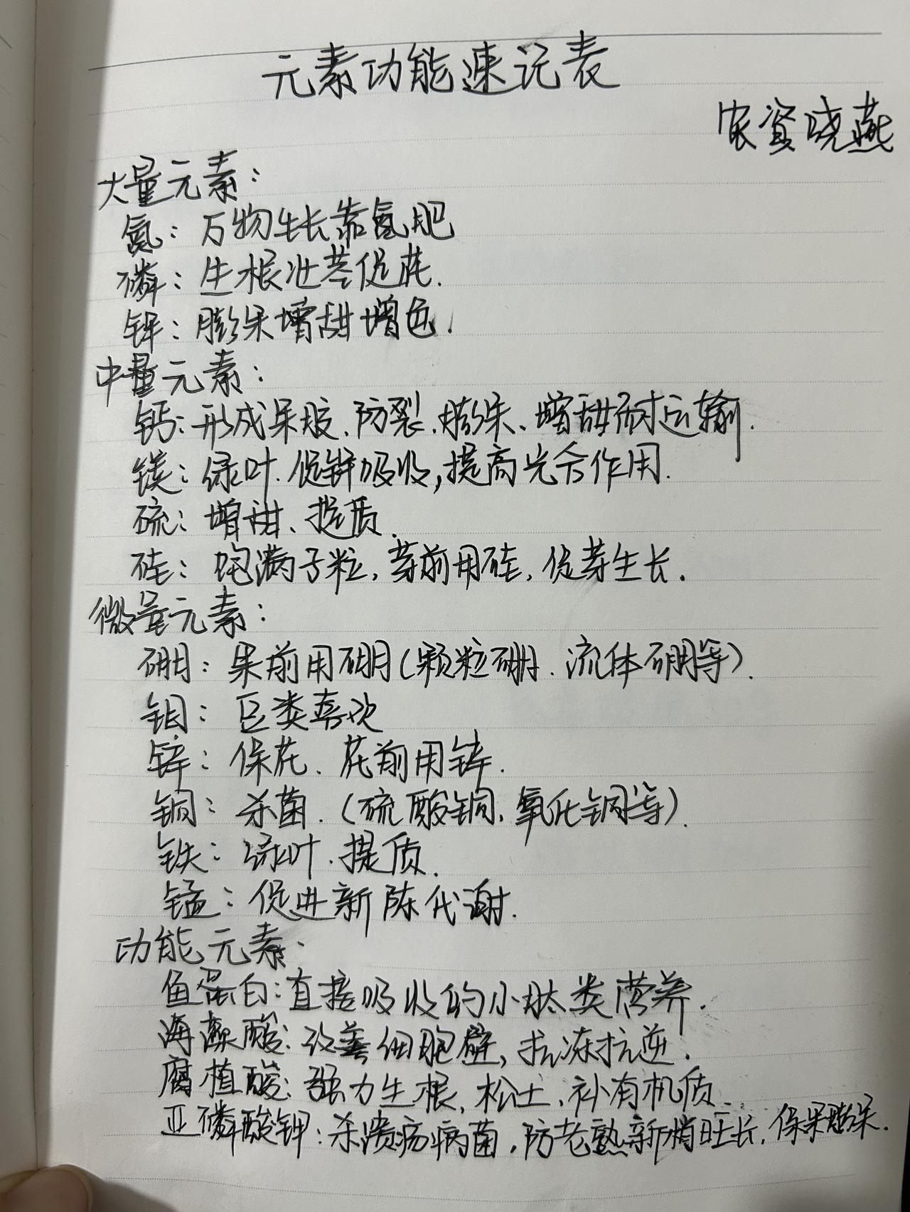 农业种植 三农 乡村守护人 农业主播朱晓燕