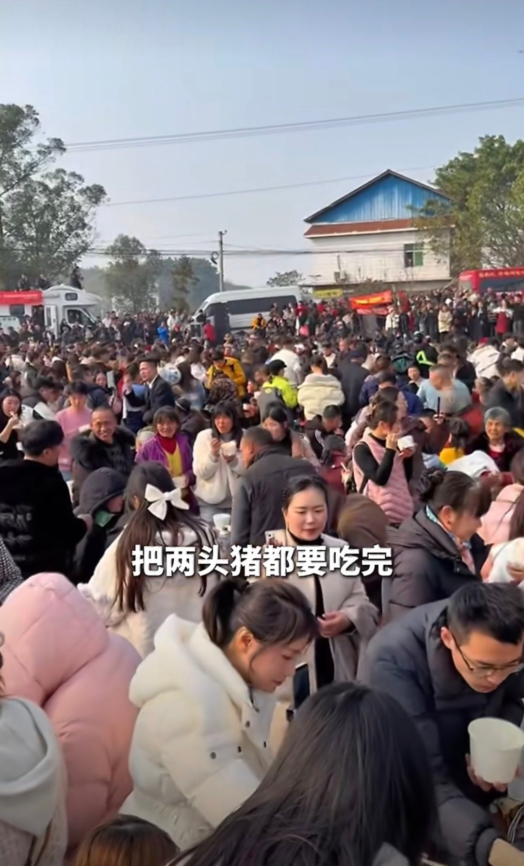 呆呆说自己确实闯了个大祸一句“帮我按年猪请吃刨猪汤”火爆全网，万人赴约估计全村都