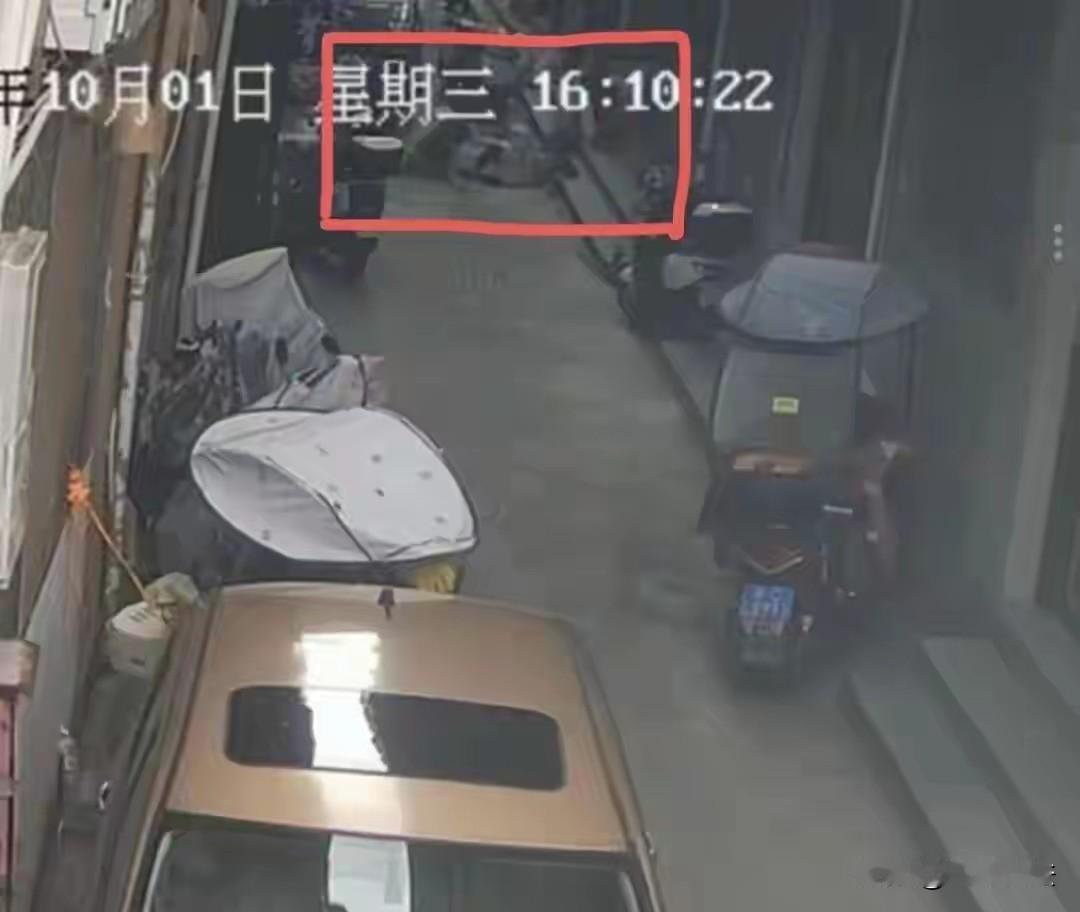 “该不该赔？”浙江温州，一82岁老人看到67岁残疾人摔倒，老人立刻停下，想搀扶摔