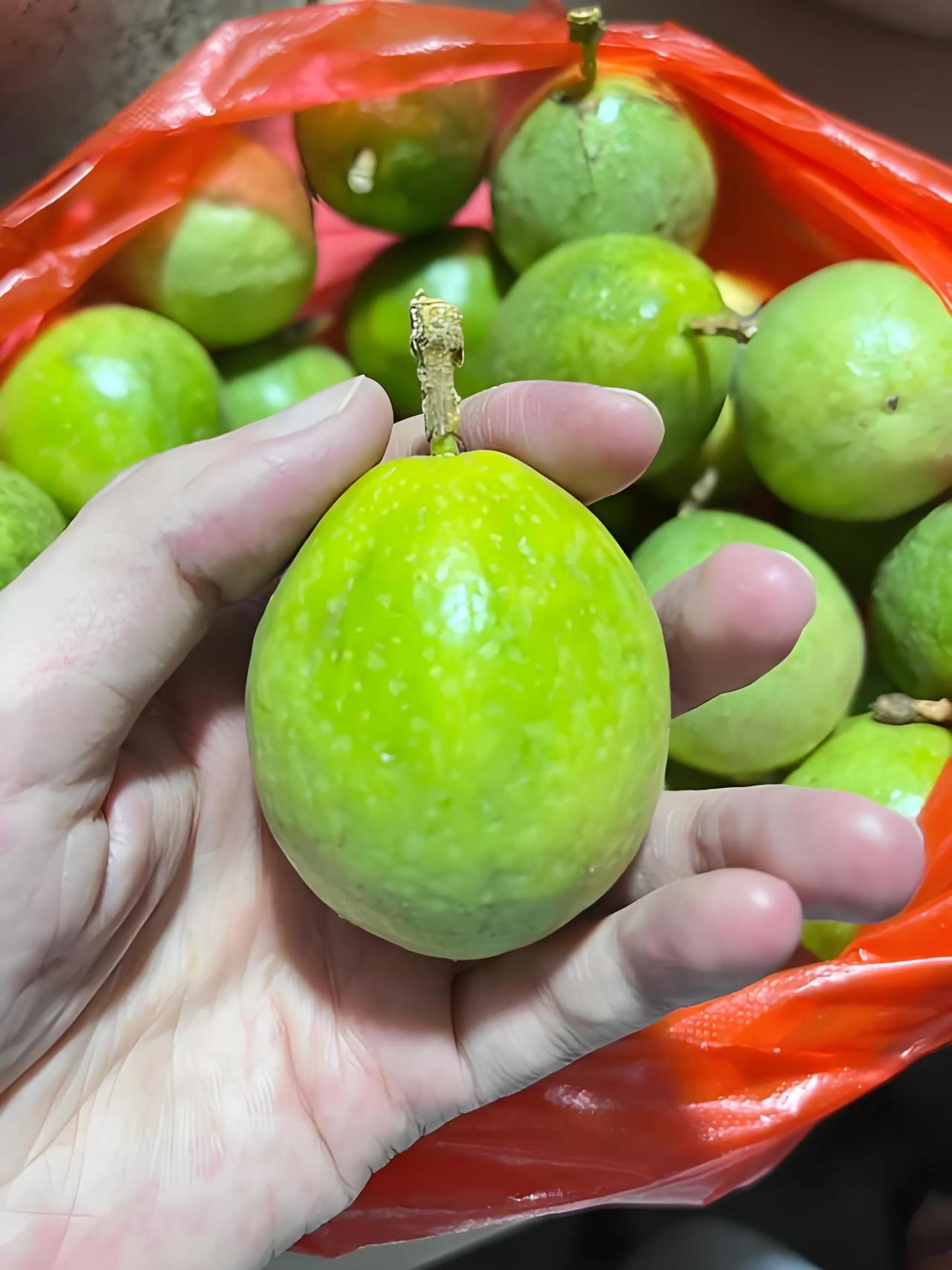 朋友送的水果，看着好漂亮，像梨子但不是梨子，大家知道这是什么？