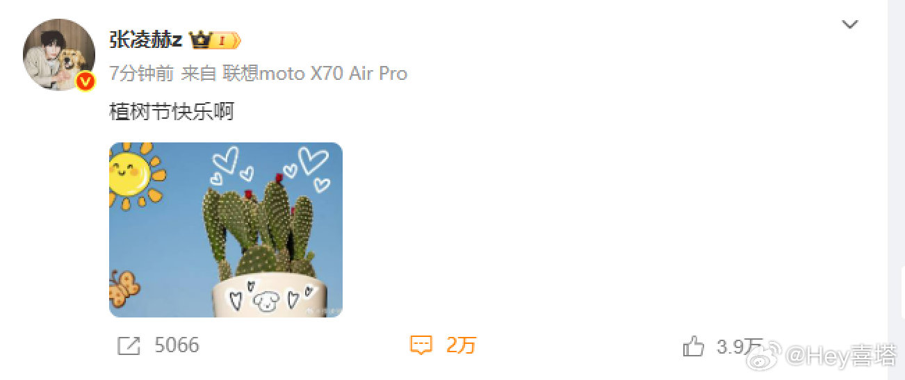 张凌赫植树节是一定要过的