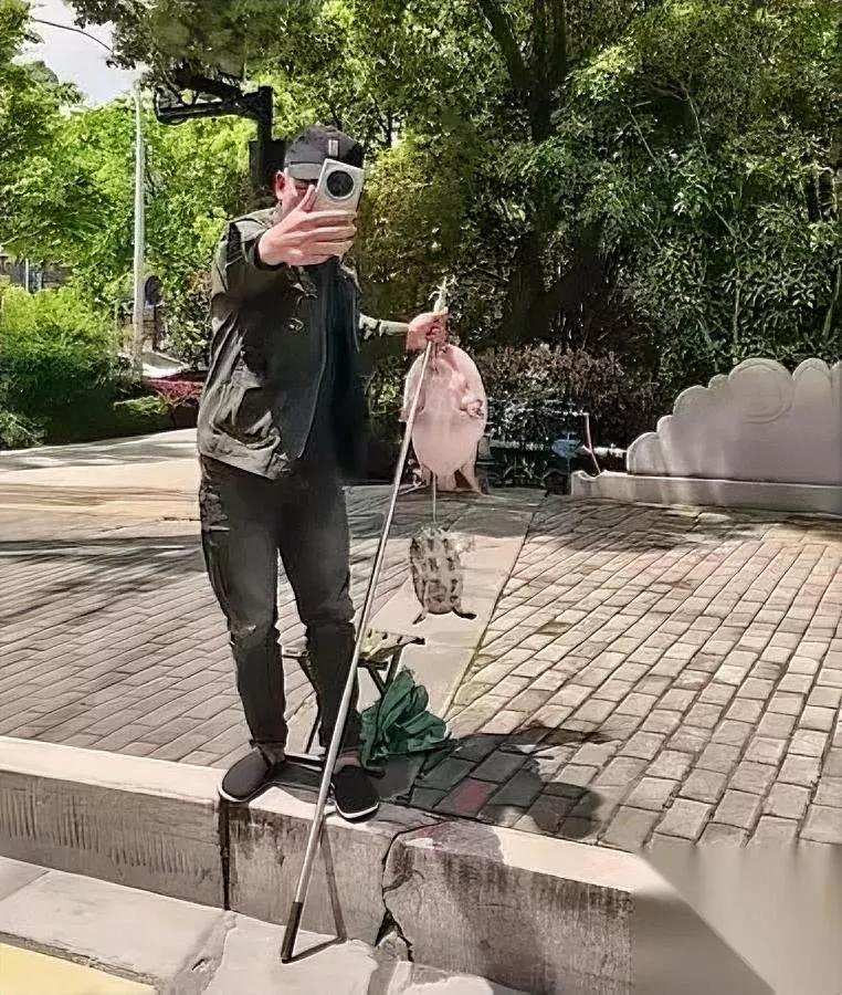 昨天过路口

撞见个奇葩事

那男的蹲路边挂着个巴掌大的乌龟叫卖，看见我掏手机拍