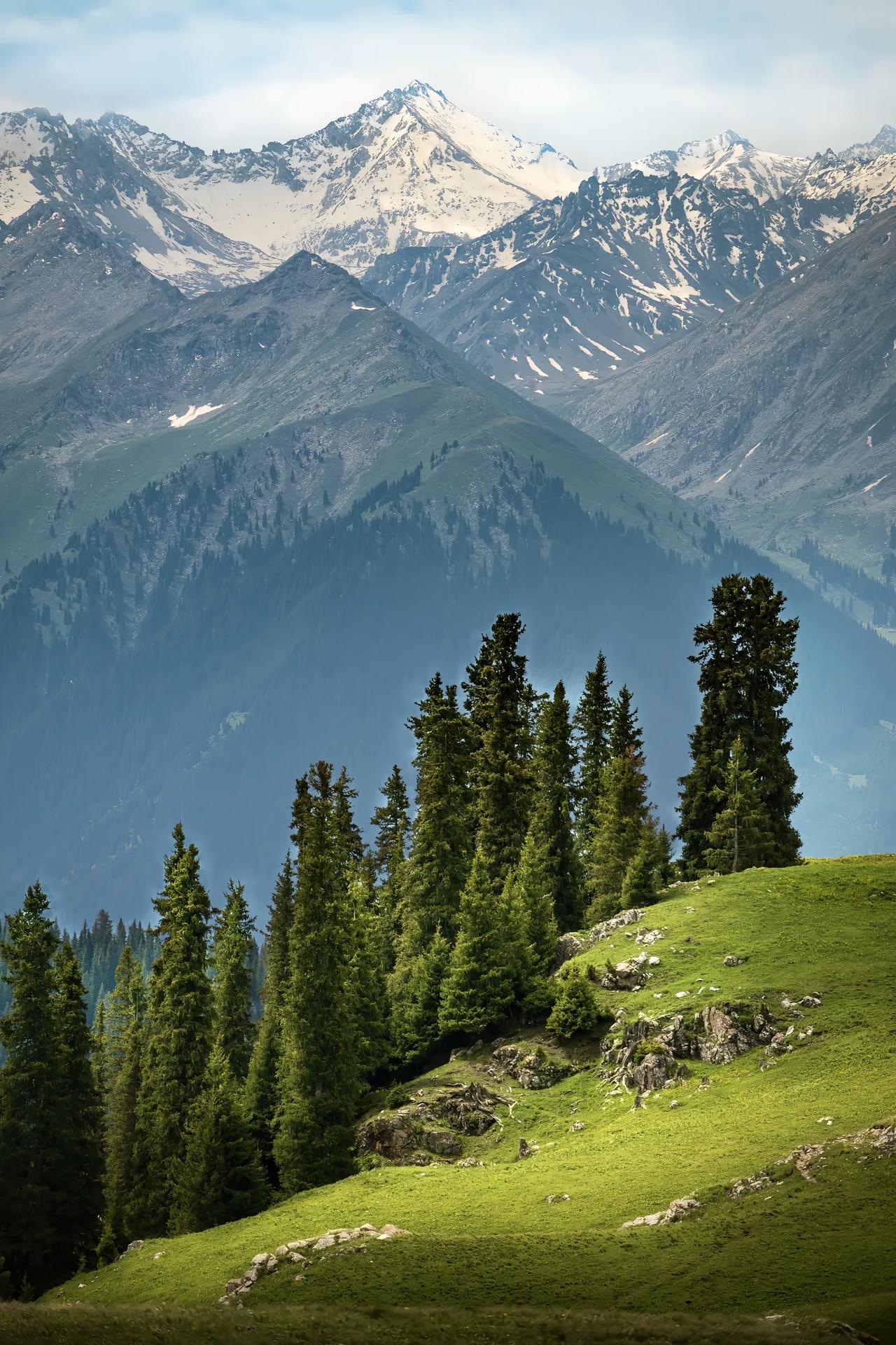 昨天看到一个 40 岁的姑娘近乎咆哮似的反问说，我一个年薪 50 万的人，我找一