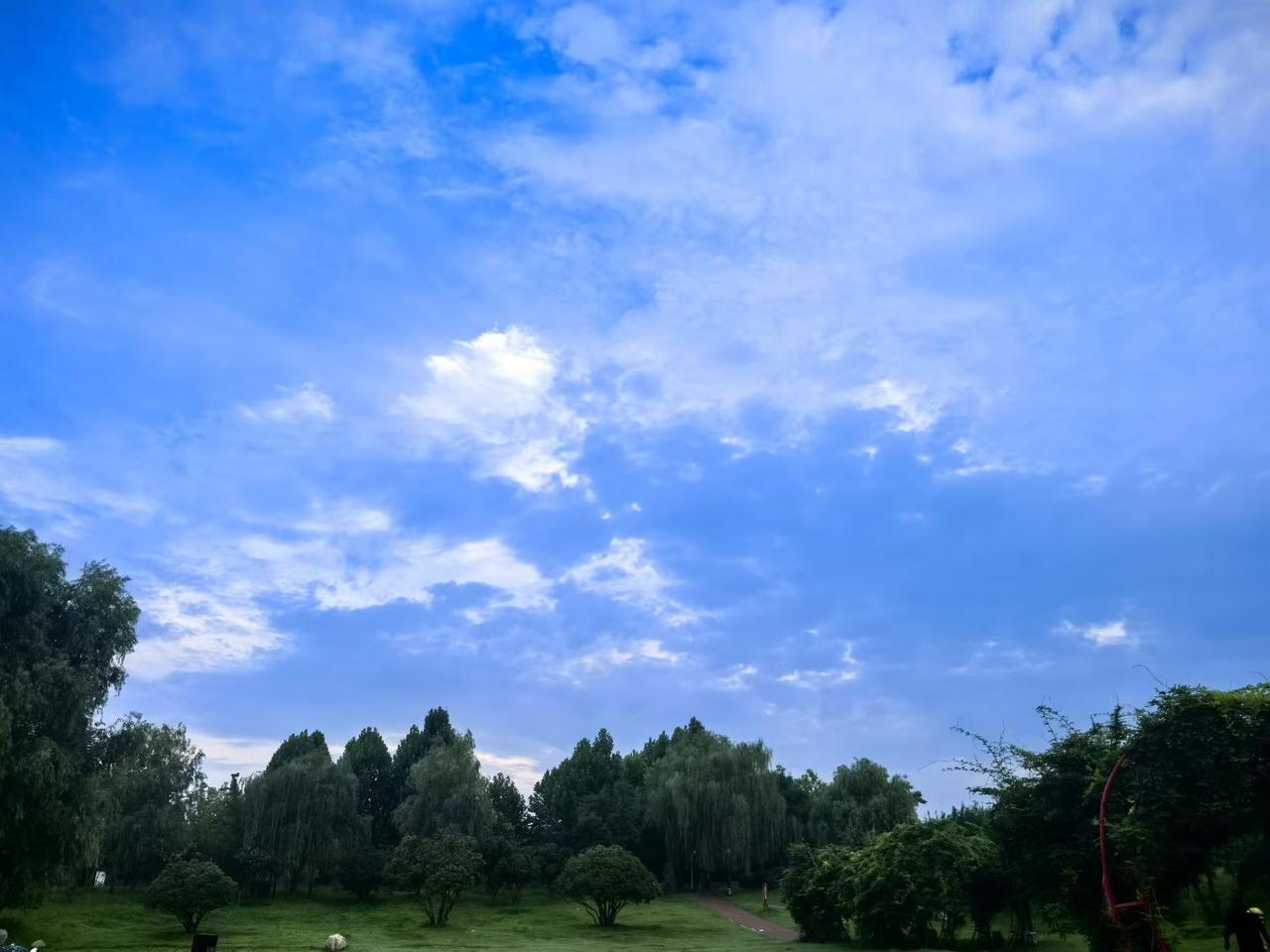 西红柿在你们那里的方言叫什么老家这边叫洋柿子，老一辈都习惯这么喊，年轻人大多直接
