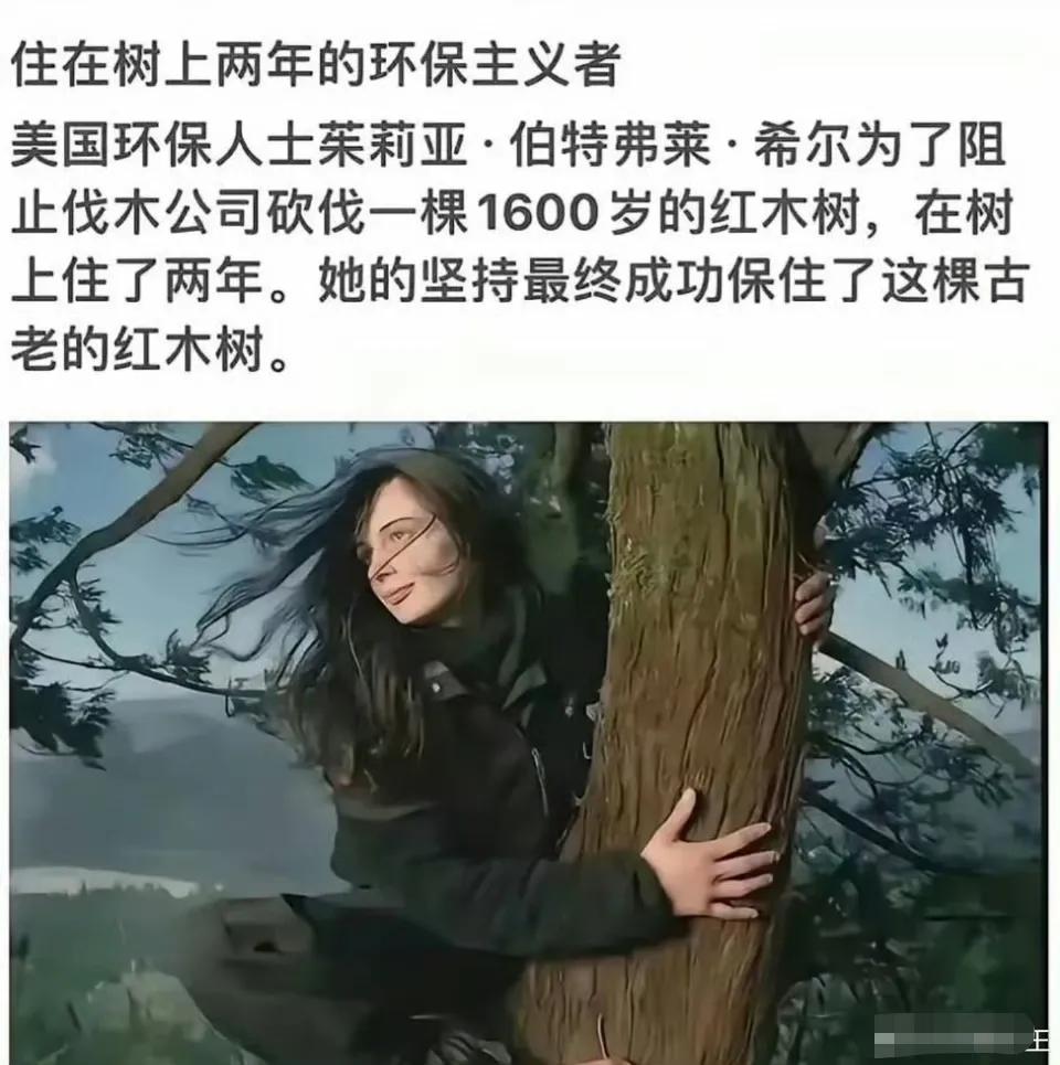 在一棵树住两年，那对这棵树伤害得多大啊？