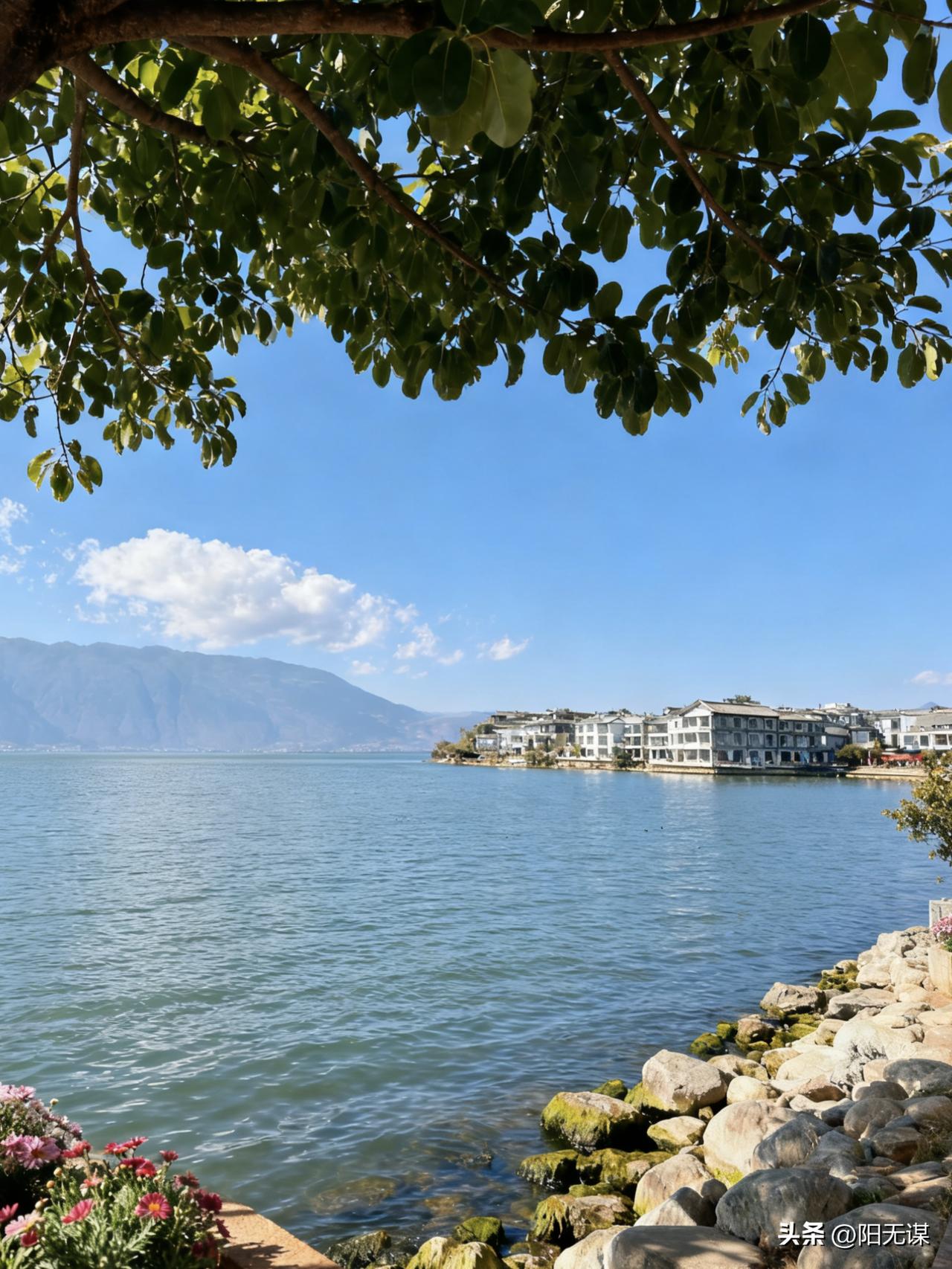 一位开水果店的老板娘说：“真是活久见了，这世上还有这么厚颜无耻的人，真是可怜之人