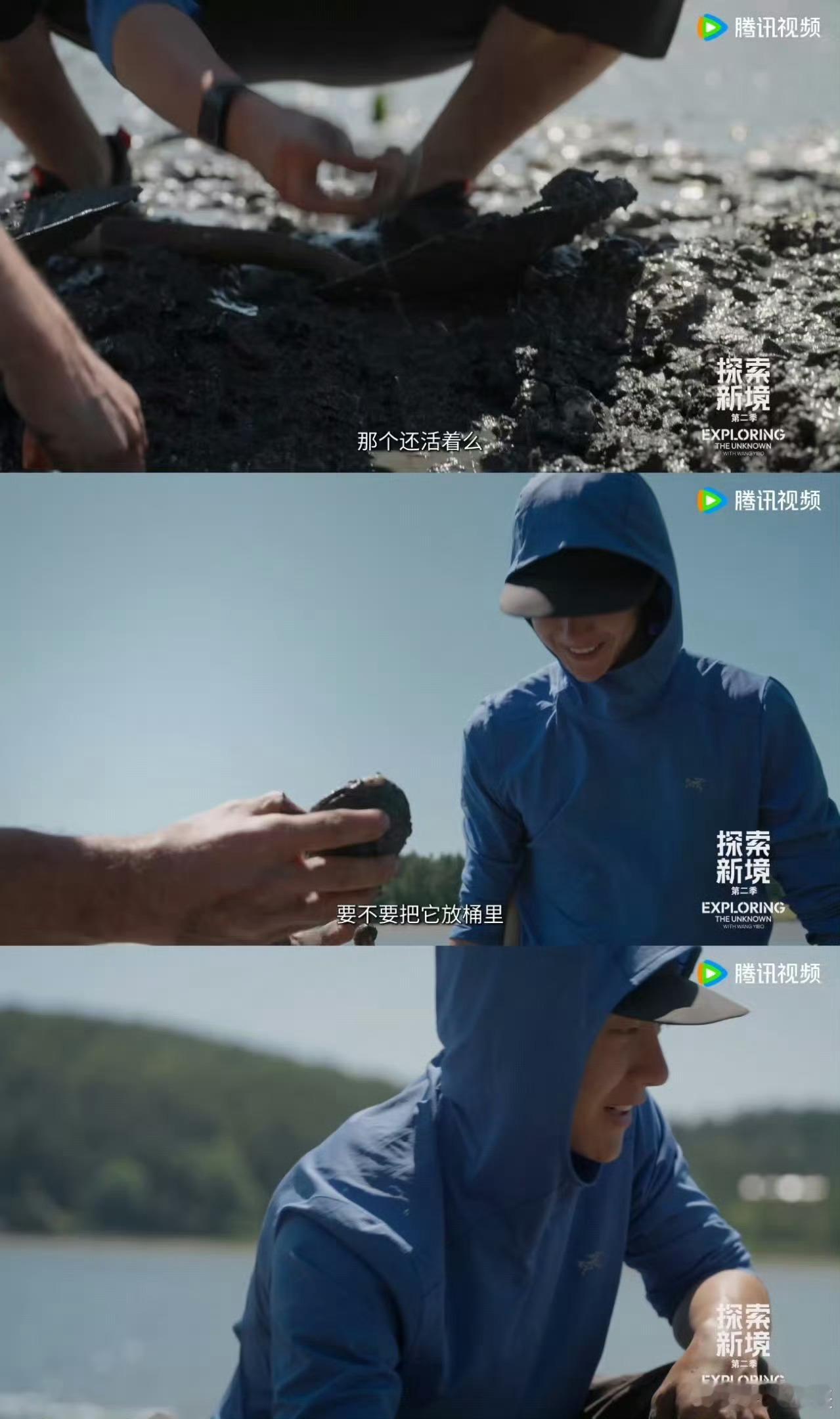 王一博气运之子 深水抱石后恰逢天晴，偶遇海豹座头鲸，挖蛤蜊还能收获巨无霸，这欧气