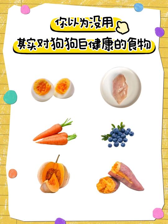 看似鸡肋！实则硬核的狗狗辅食好物